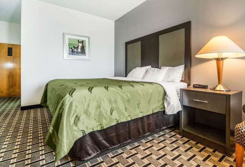 هتل Quality Inn Lexington East Hamburg Area