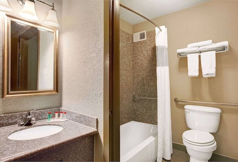 בית מלון כפרי Ramada By Wyndham Houston Intercontinental Airport South