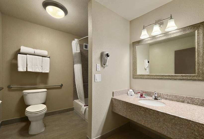 בית מלון כפרי Ramada By Wyndham Houston Intercontinental Airport South