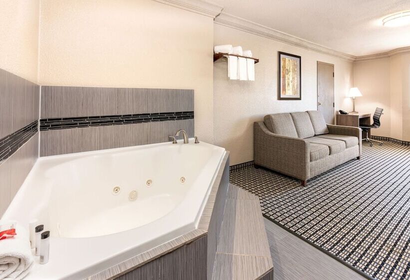 בית מלון כפרי Ramada By Wyndham Houston Intercontinental Airport South