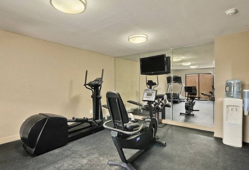 בית מלון כפרי Ramada By Wyndham Houston Intercontinental Airport South