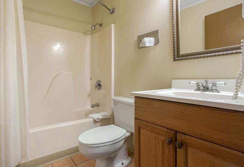 فندق Rodeway Inn