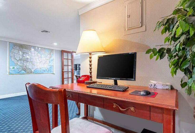 فندق The Berry Inn