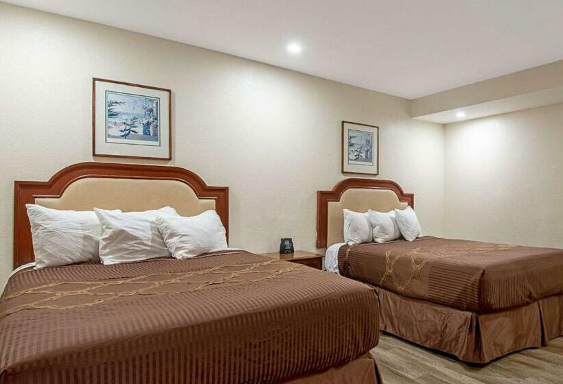 فندق The Berry Inn