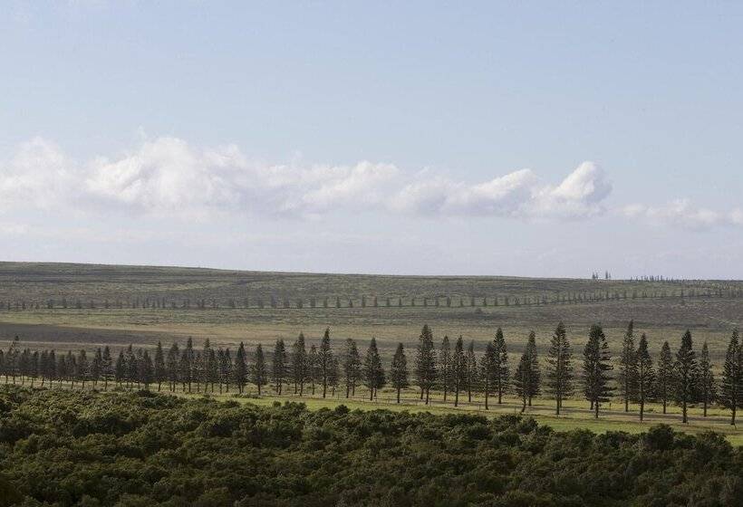 فندق Sensei Lanai, A Four Seasons Resort