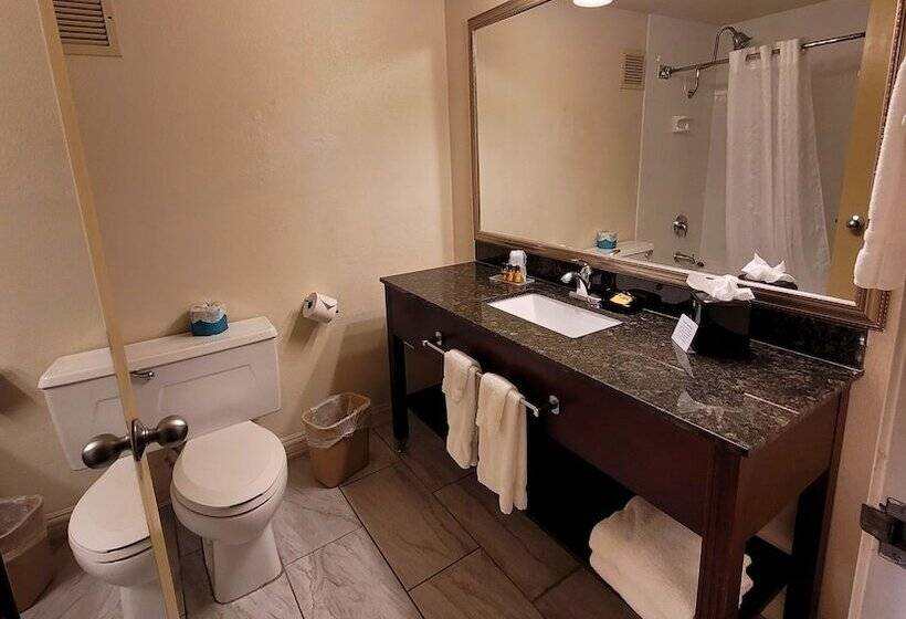 Seville Plaza Hotel, Trademark Collection By Wyndham