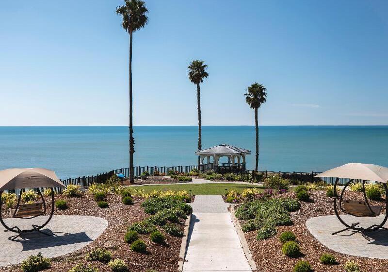 فندق Shore Cliff