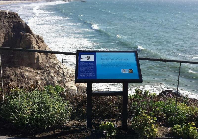 فندق Shore Cliff