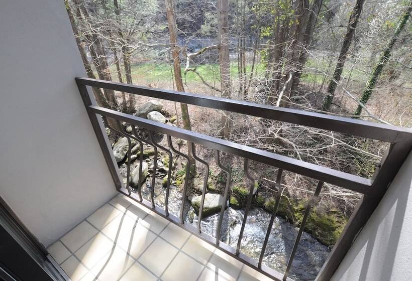 בית מלון כפרי Sidney James Mountain Lodge