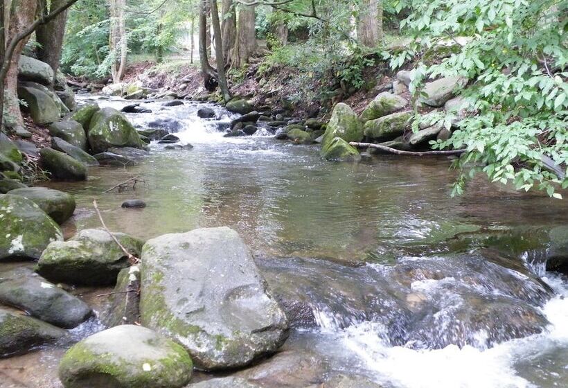 בית מלון כפרי Sidney James Mountain Lodge