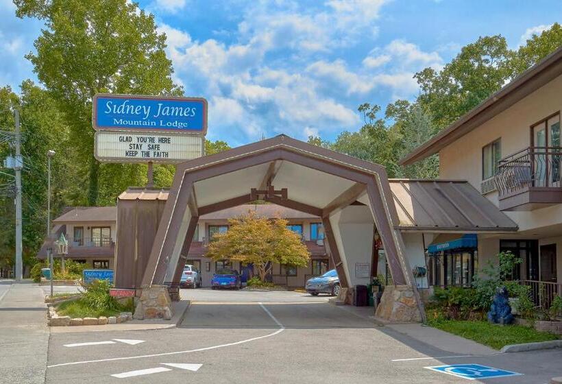 فندق Sidney James Mountain Lodge