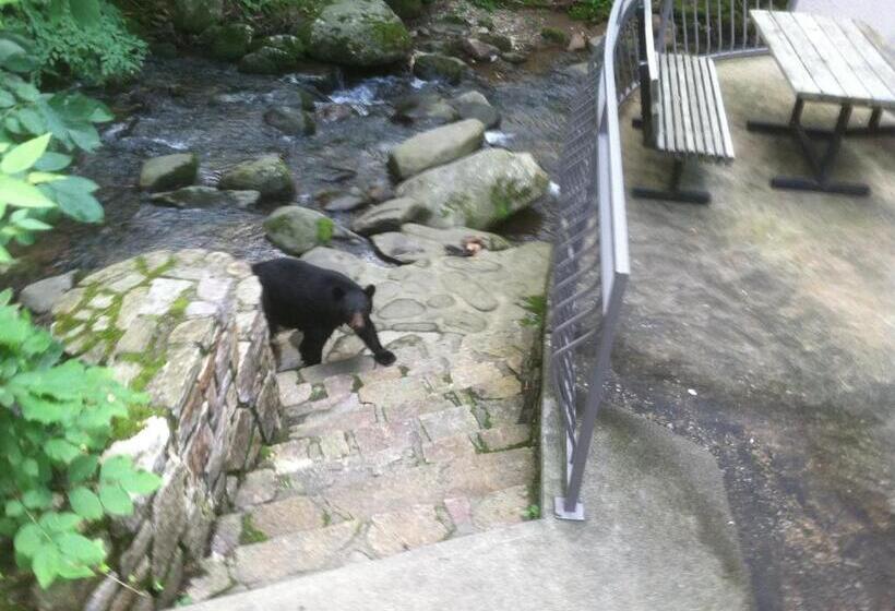 בית מלון כפרי Sidney James Mountain Lodge