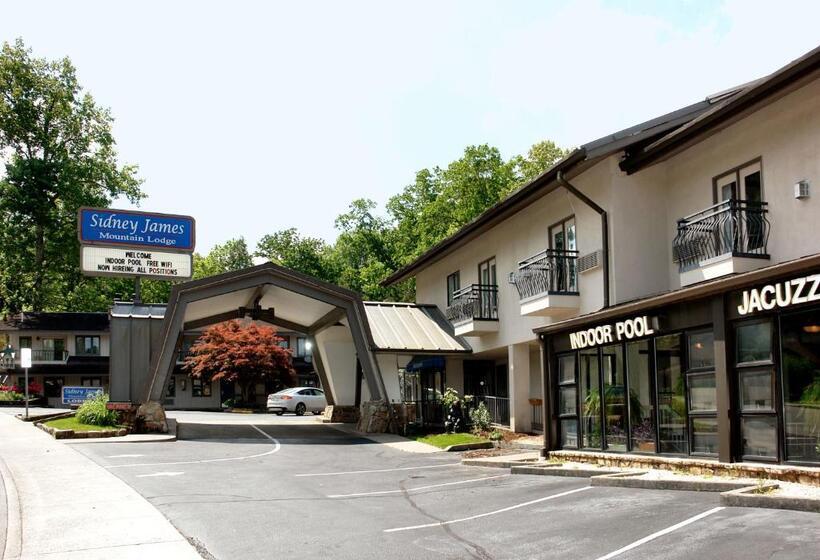 בית מלון כפרי Sidney James Mountain Lodge