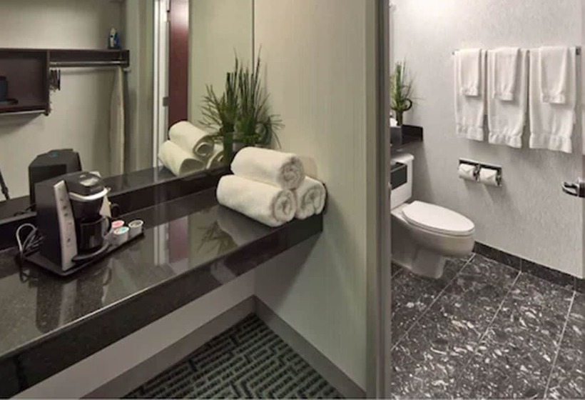 ホテル Somerset Inn Troy