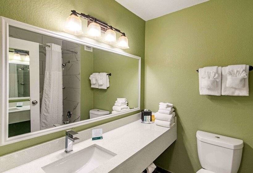 هتل Quality Inn & Suites Plano East   Richardson