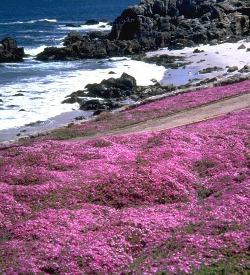 فندق Spindrift Inn