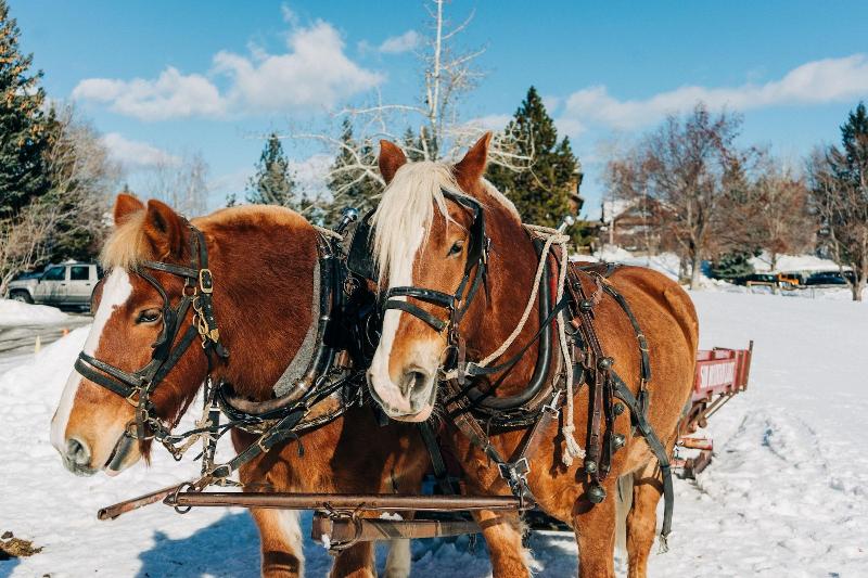 Отель Sun Mountain Lodge