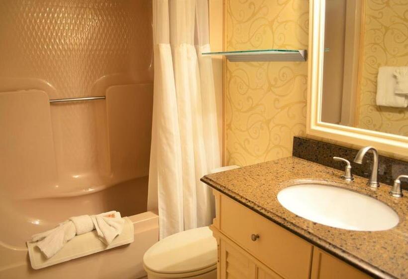 فندق Sun Viking Lodge  Daytona Beach