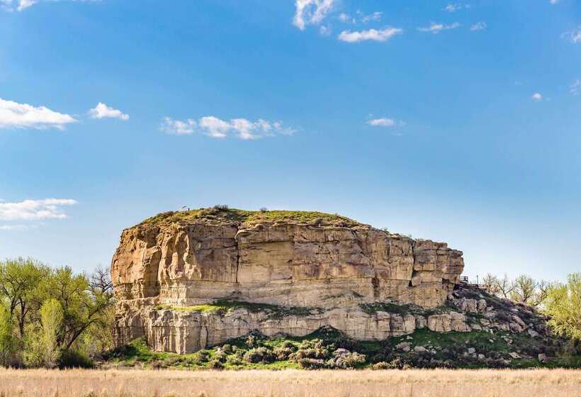 Отель Super 8 By Wyndham Billings