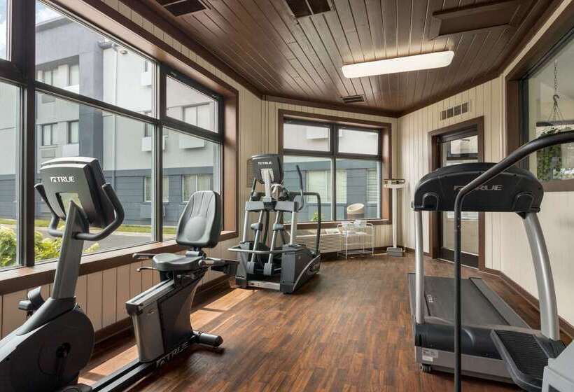 فندق Luxe Studios