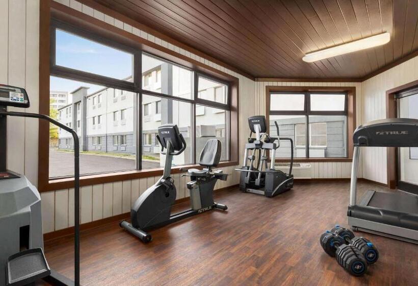 בית מלון כפרי Luxe Studios