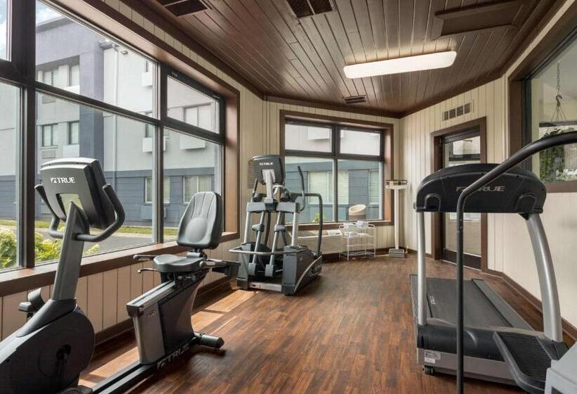 בית מלון כפרי Luxe Studios