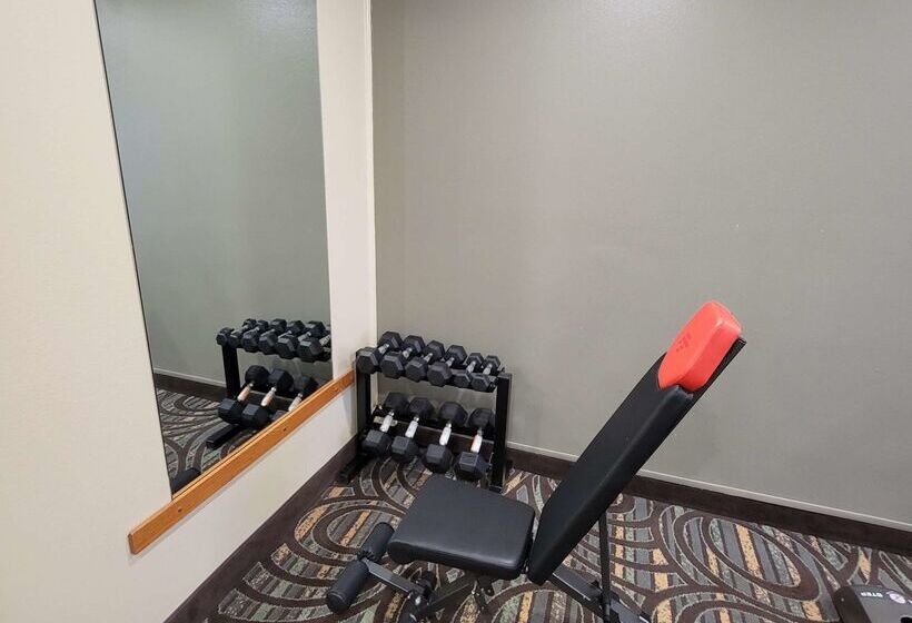 Surestay Plus Hotel By Best Western Grand Island