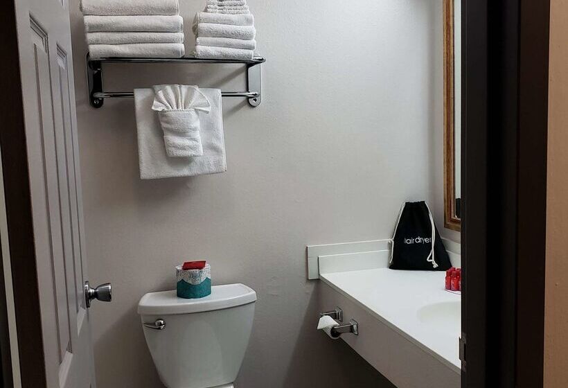 Surestay Plus Hotel By Best Western Grand Island