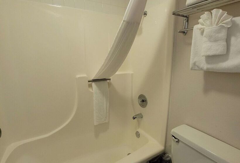 Surestay Plus Hotel By Best Western Grand Island