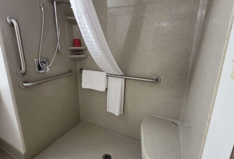 Surestay Plus Hotel By Best Western Grand Island