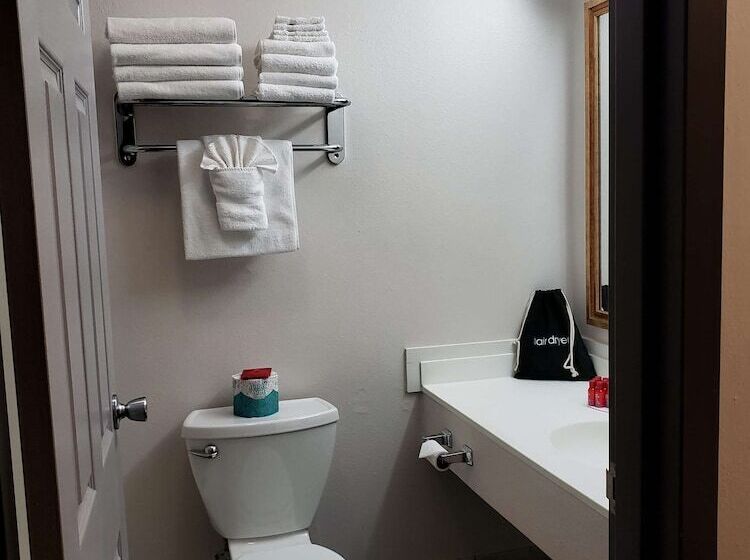 Surestay Plus Hotel By Best Western Grand Island