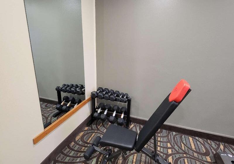 Surestay Plus Hotel By Best Western Grand Island