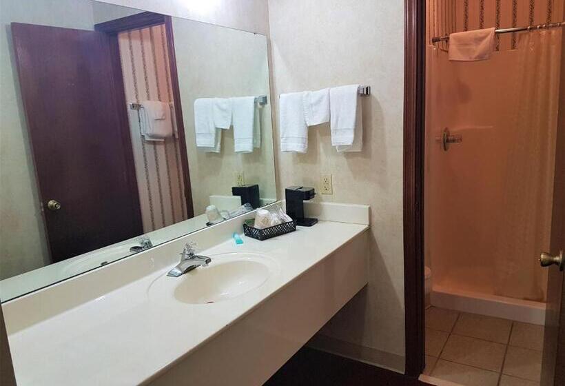 هتل Swiss Village Inn