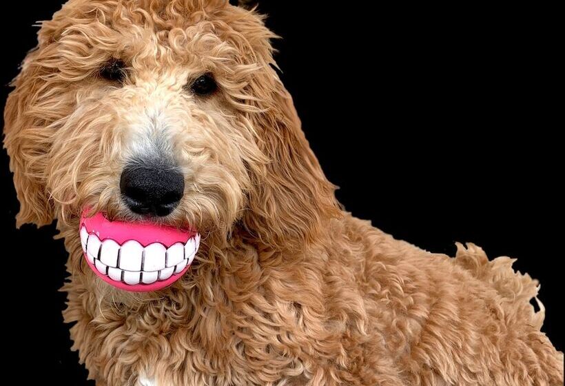 The Academy Hotel Colorado Springs