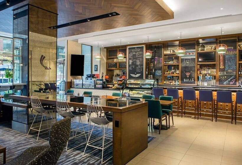 The Chicago Hotel Collection Magnificent Mile