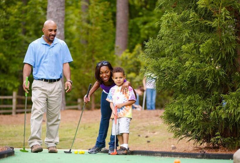 فندق The Inn at Stone Mountain Park