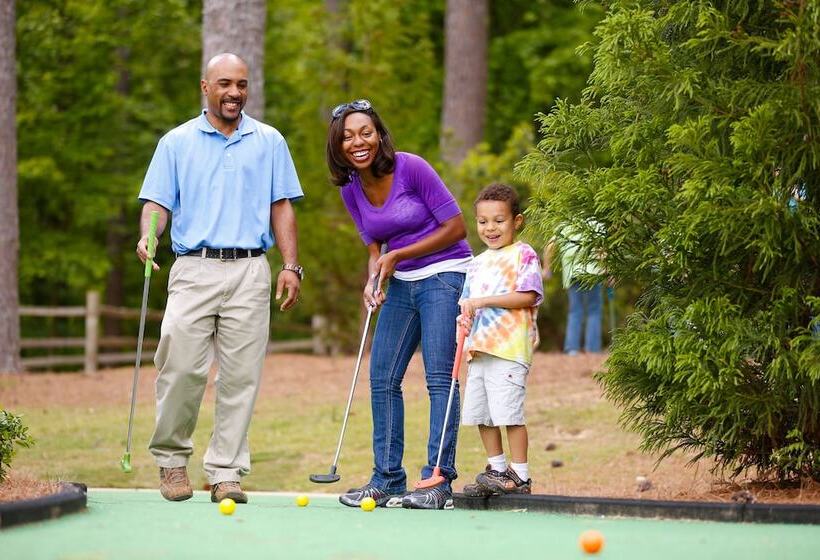 호텔 The Inn at Stone Mountain Park