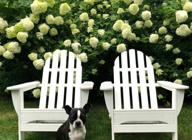 فندق The Maidstone Inn