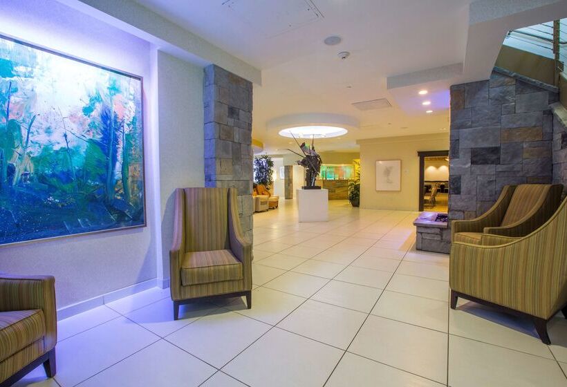 The Strathallan Rochester Hotel & Spa   Doubletree By Hilton