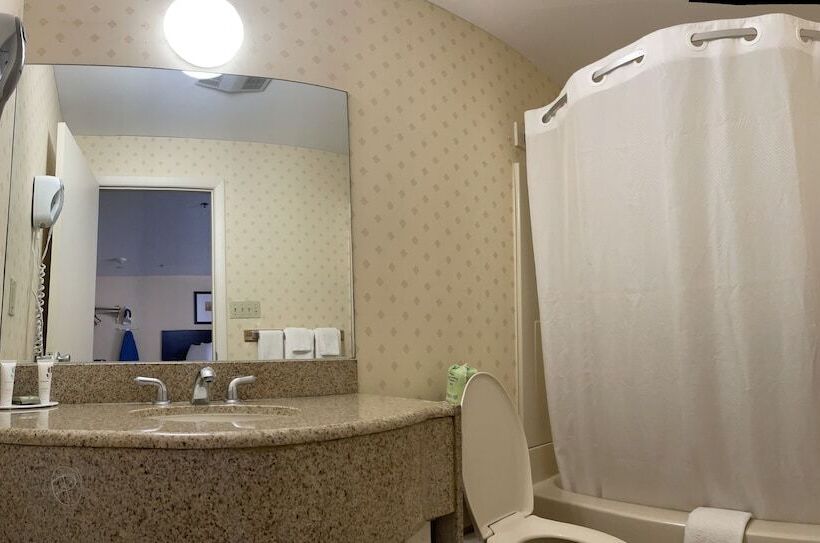 ホテル Whitney Inn & Suites