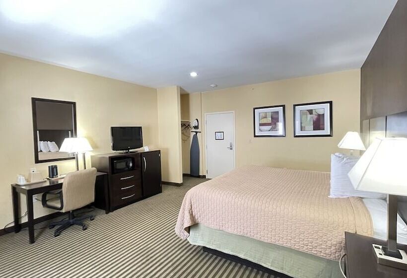 ホテル Whitney Inn & Suites