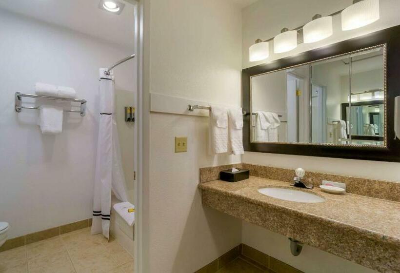 فندق Wingate By Wyndham Mount Vernon