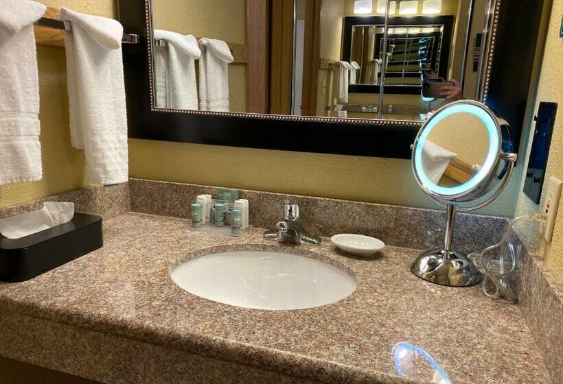 فندق Wingate By Wyndham Mount Vernon