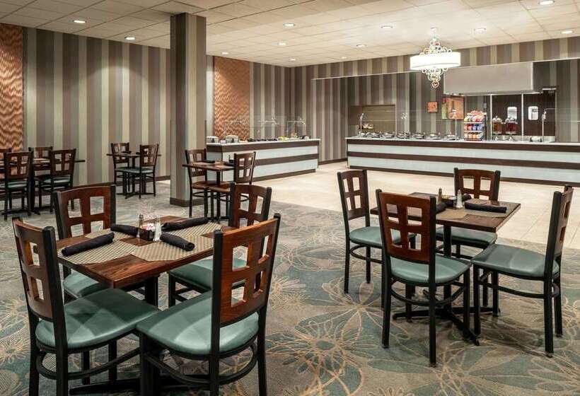 酒店 Wyndham Springfield City Centre