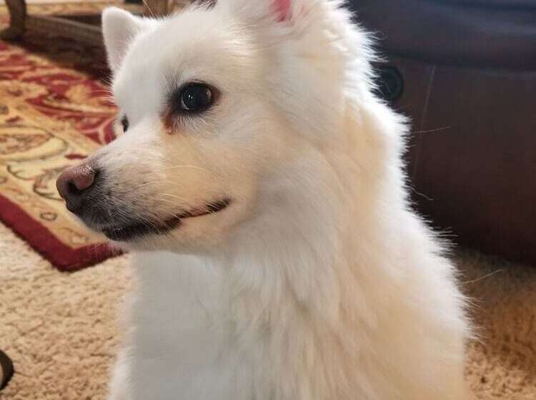 מוטל Americas Stay Inn Leavenworth