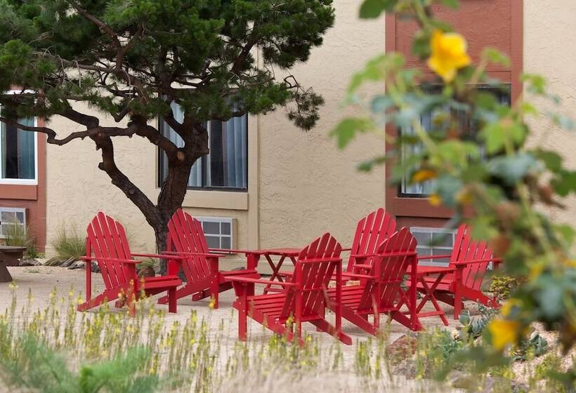 モーテル Focus Sfo