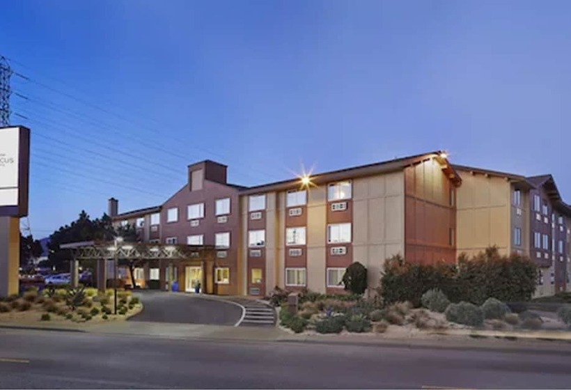 モーテル Focus Sfo