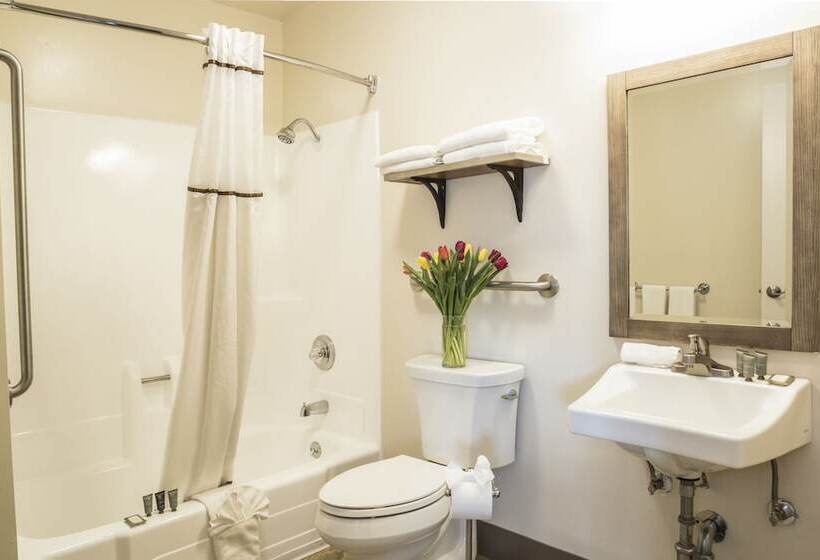 モーテル Focus Sfo