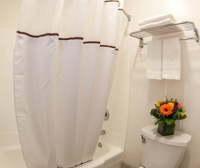 モーテル Focus Sfo