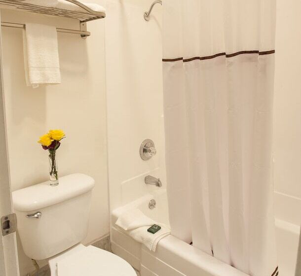 モーテル Focus Sfo